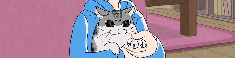 Background banner image